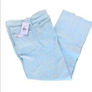 Joe’s Spring Mint wide leg ankle jeans. Size 28 NWT